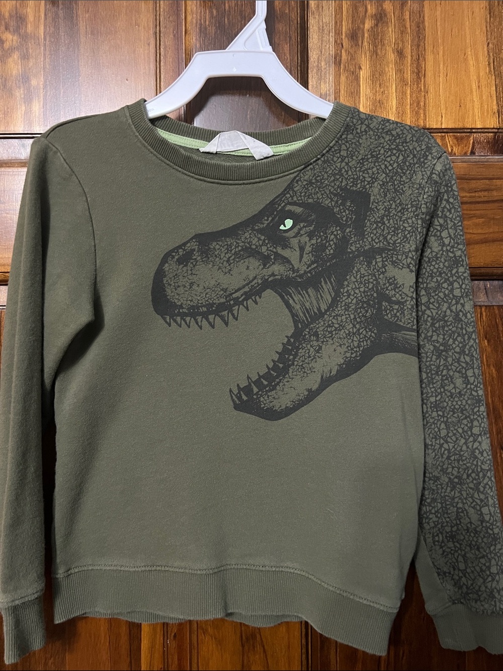 H&M Olive Green Dinosaur Crewneck Sweatshirt